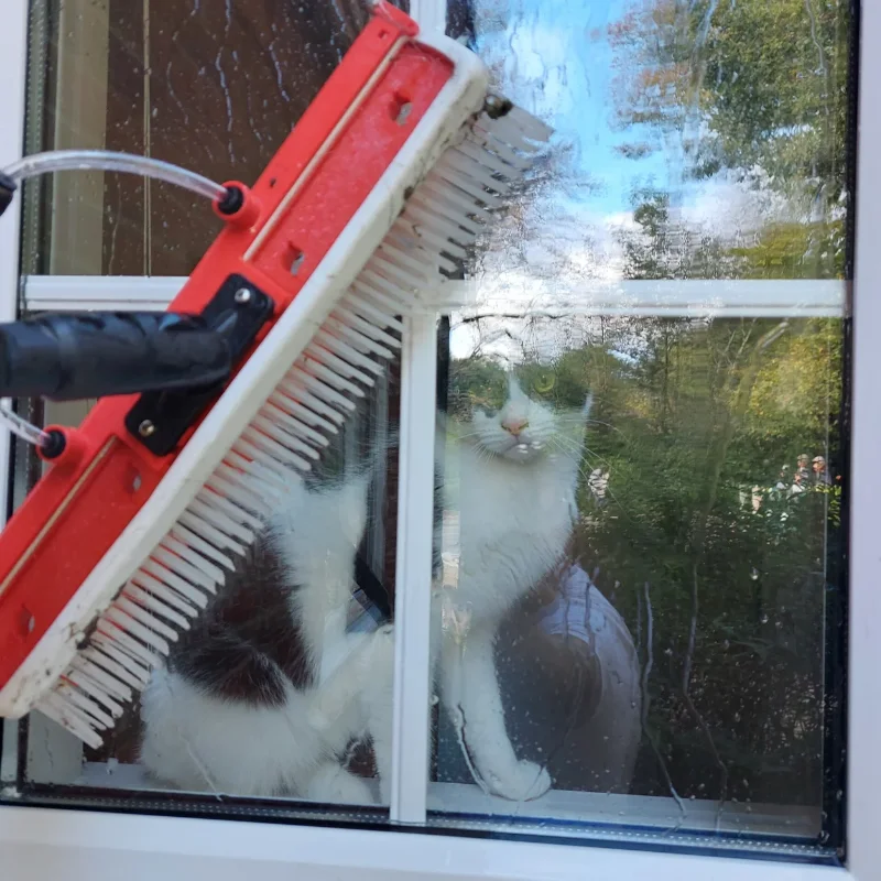 Water fed window cleaning